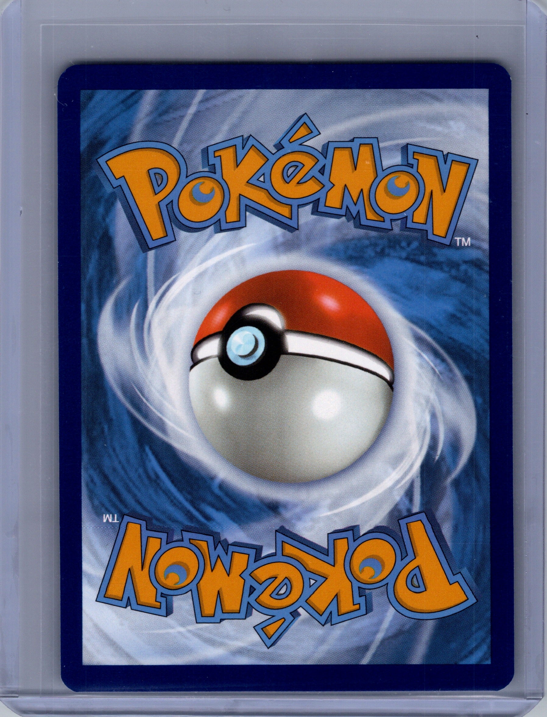 Back of Bloodmoon Ursaluna ex 202/167 Ultra Rare from Twilight Masquerade. English raw trading card. Exact card shown.