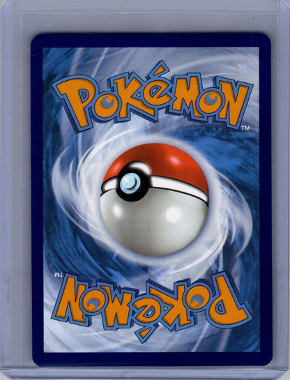 Back of Bloodmoon Ursaluna ex 202/167 Ultra Rare from Twilight Masquerade. English raw trading card. Exact card shown.