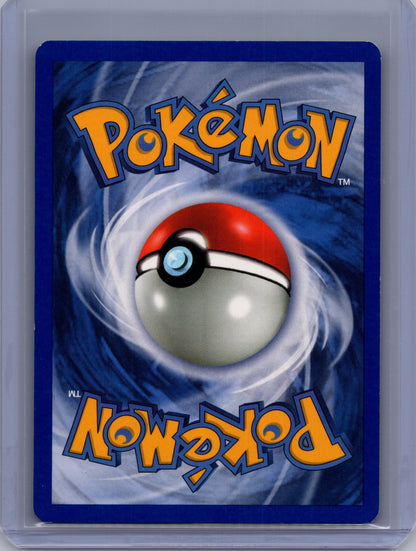 Torchic - 017 - Nintendo Promos